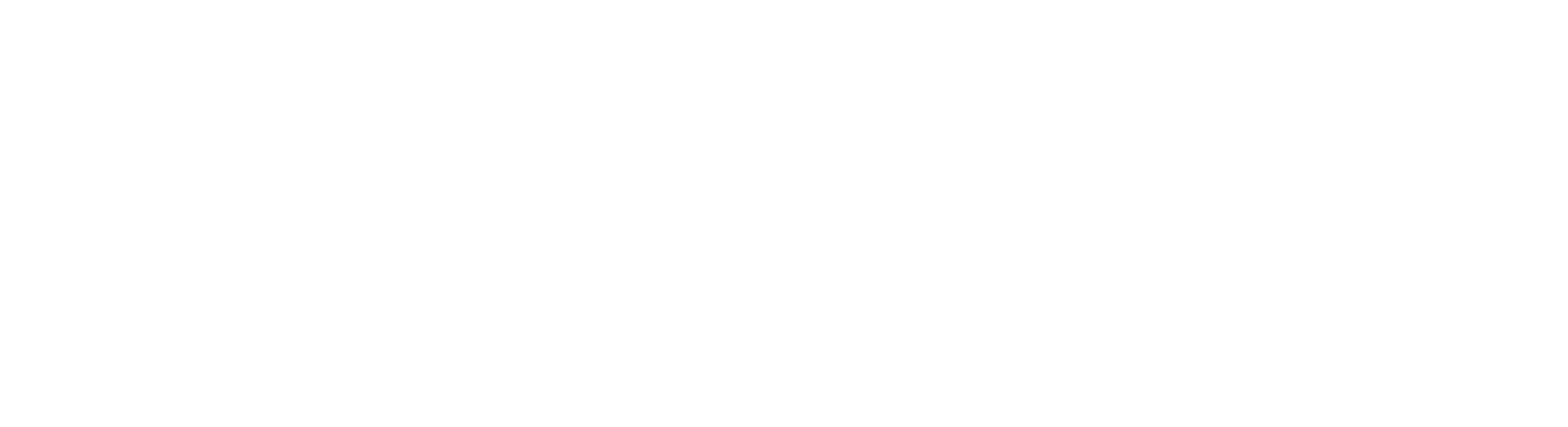 DS Wedding Studio